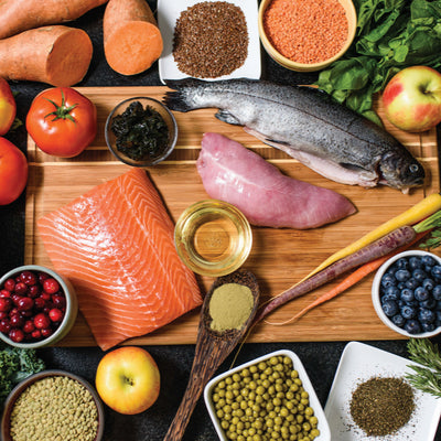 Smorgasbord of different ingredients that are. high in protein and low in carbohydrates. Including salmon, blueberries, apple, sweet potatoes, chicken, and chickpeas. 